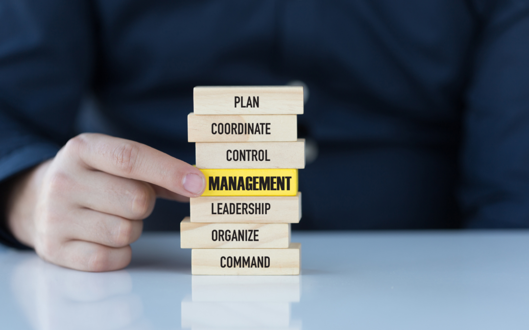 Mastering Product Management Skills for Successful AI-Driven Products